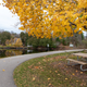 Illustration for article titled 2019-11-02 Drive Through Frontenac Provincial Park